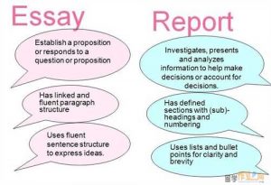 essay vs report
