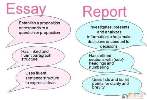 business report vs essay