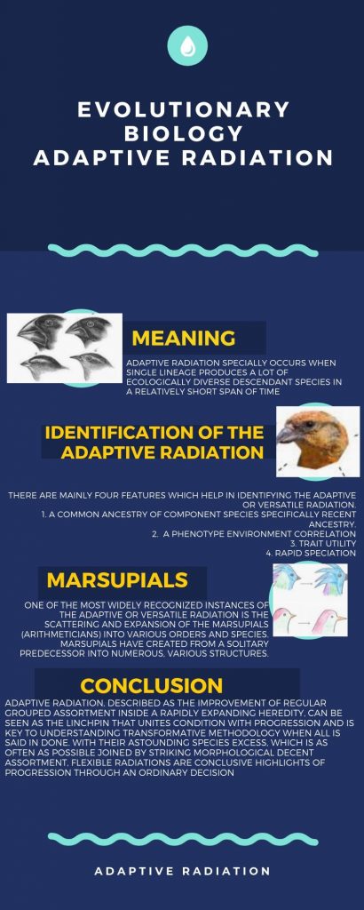 adaptive radiation